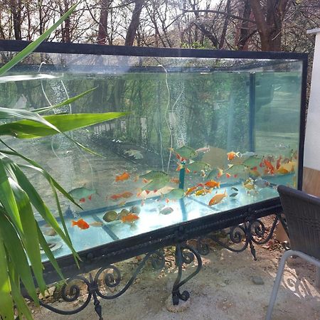 Gaestehaus Coco クレムス アン デル ドナウ エクステリア 写真